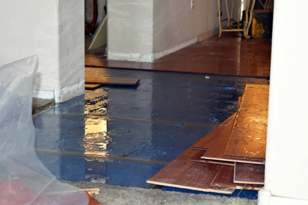 Professional Flood Damage Repair technician working in Lubec, ME